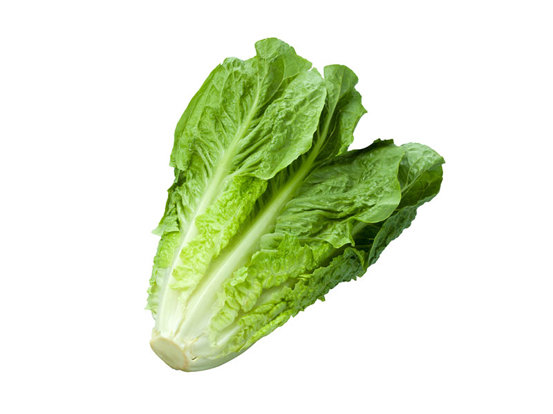 Lechuga orejona